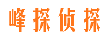 突泉市调查公司